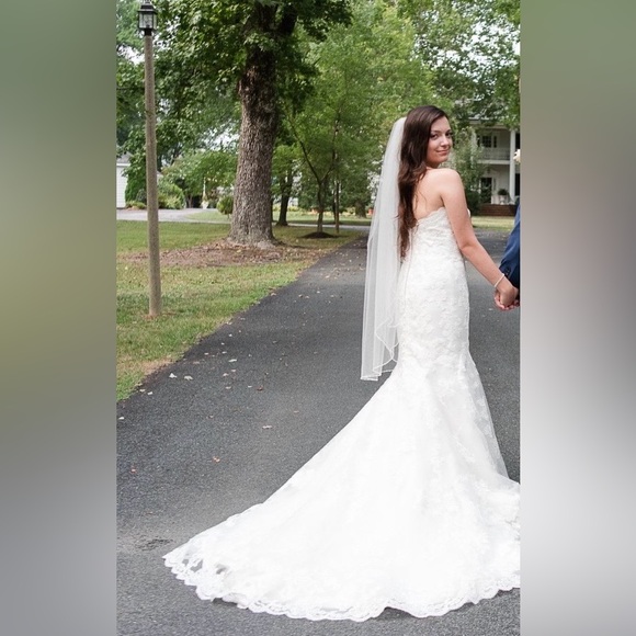 Wedding Dress - Picture 7 of 8